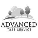 advanced tree service - bw logo